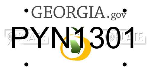 PYN1301 Georgia License Plate