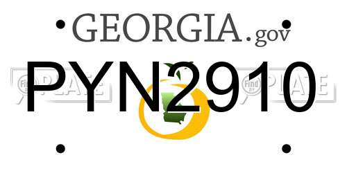 PYN2910 Georgia License Plate