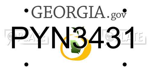 PYN3431 Georgia License Plate