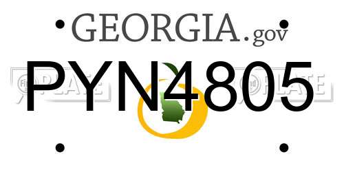 PYN4805 Georgia License Plate