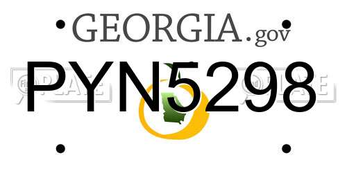 PYN5298 Georgia License Plate