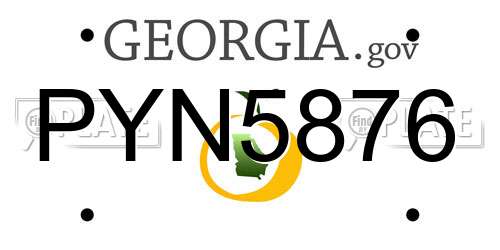 PYN5876 Georgia License Plate