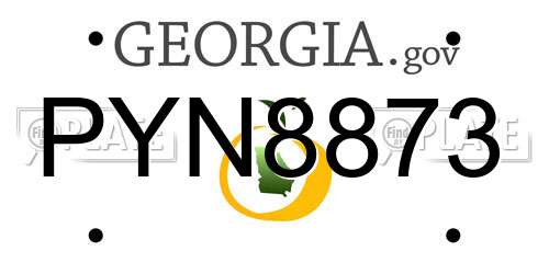 PYN8873 Georgia License Plate