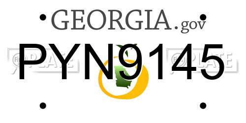 PYN9145 Georgia License Plate
