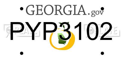 PYP3102 Georgia License Plate