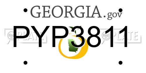 PYP3811 Georgia License Plate