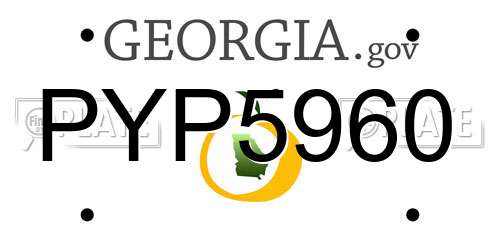 PYP5960 Georgia License Plate