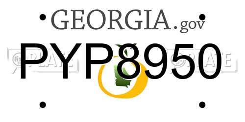 PYP8950 Georgia License Plate