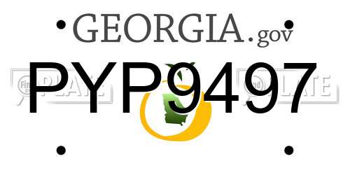 PYP9497 Georgia License Plate
