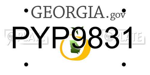 PYP9831 Georgia License Plate