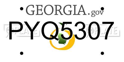 PYQ5307 Georgia License Plate