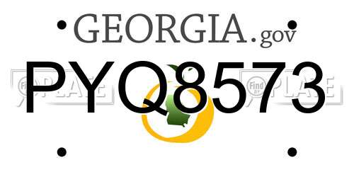 PYQ8573 Georgia License Plate