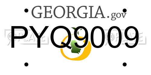 PYQ9009 Georgia License Plate