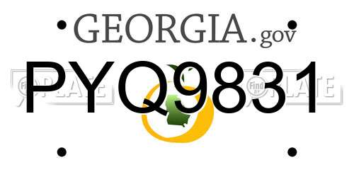 PYQ9831 Georgia License Plate