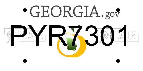 PYR7301 Georgia License Plate
