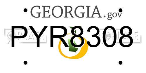 PYR8308 Georgia License Plate