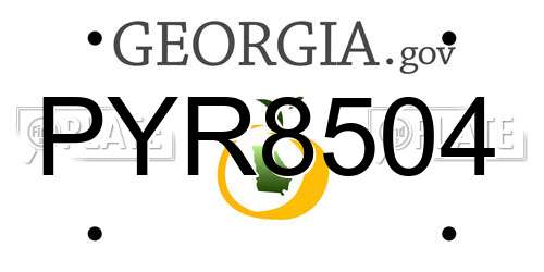 PYR8504 Georgia License Plate