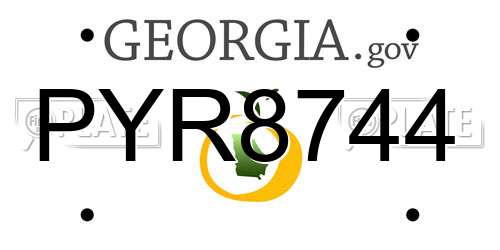 PYR8744 Georgia License Plate