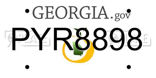 PYR8898 Georgia License Plate