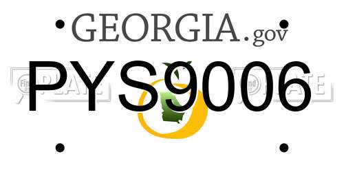 PYS9006 Georgia License Plate