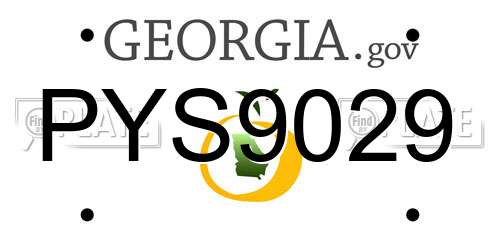PYS9029 Georgia License Plate
