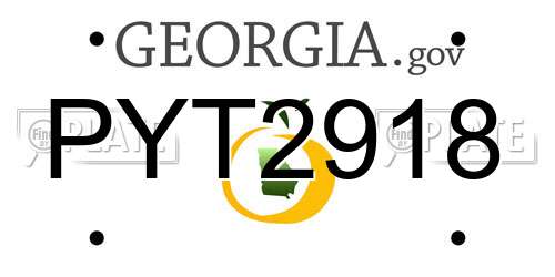 PYT2918 Georgia License Plate