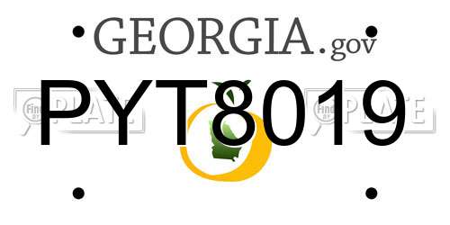 PYT8019 Georgia License Plate