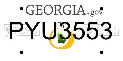 PYU3553 Georgia License Plate