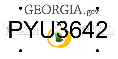 PYU3642 Georgia License Plate