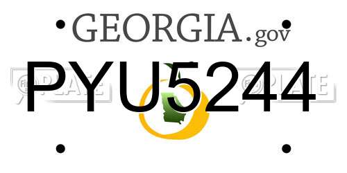PYU5244 Georgia License Plate
