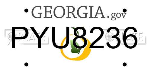 PYU8236 Georgia License Plate