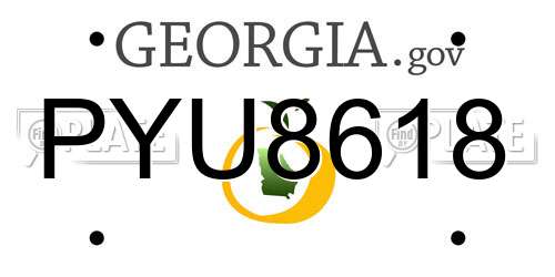 PYU8618 Georgia License Plate