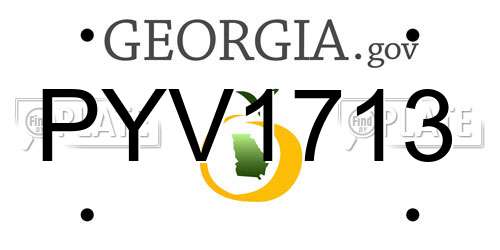 PYV1713 Georgia License Plate