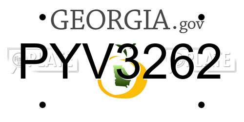 PYV3262 Georgia License Plate