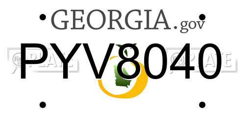 PYV8040 Georgia License Plate