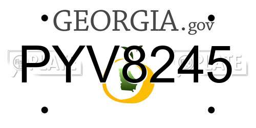 PYV8245 Georgia License Plate
