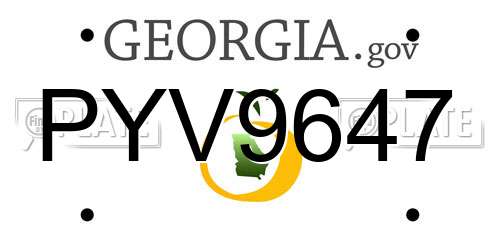 PYV9647 Georgia License Plate