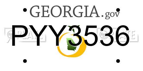 PYY3536 Georgia License Plate