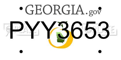 PYY3653 Georgia License Plate