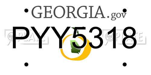 PYY5318 Georgia License Plate