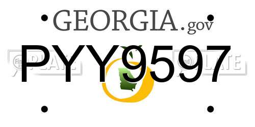 PYY9597 Georgia License Plate
