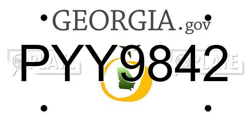 PYY9842 Georgia License Plate