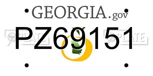 PZ69151 Georgia License Plate