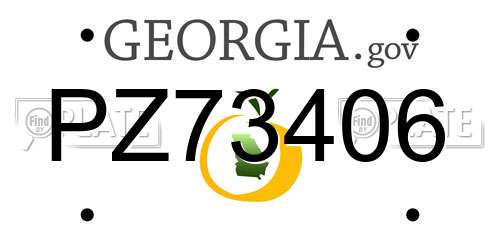 PZ73406 Georgia License Plate
