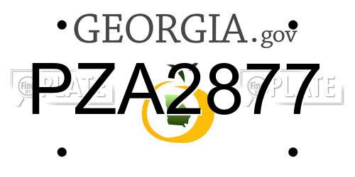 PZA2877 Georgia License Plate