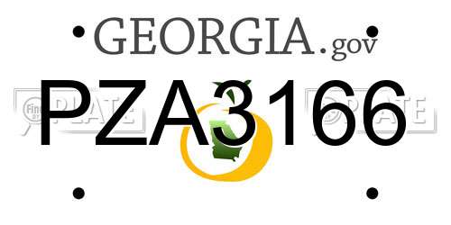 PZA3166 Georgia License Plate