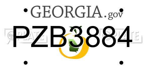 PZB3884 Georgia License Plate