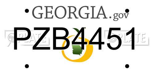 PZB4451 Georgia License Plate