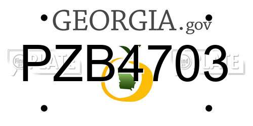 PZB4703 Georgia License Plate