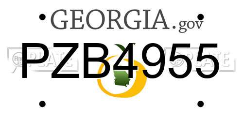 PZB4955 Georgia License Plate